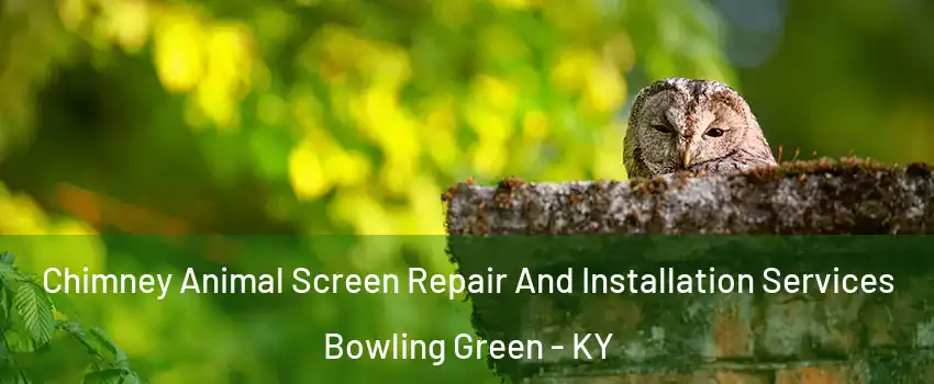  Chimney Animal Screen Repair And Installation Services Bowling Green - KY