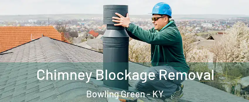  Chimney Blockage Removal Bowling Green - KY