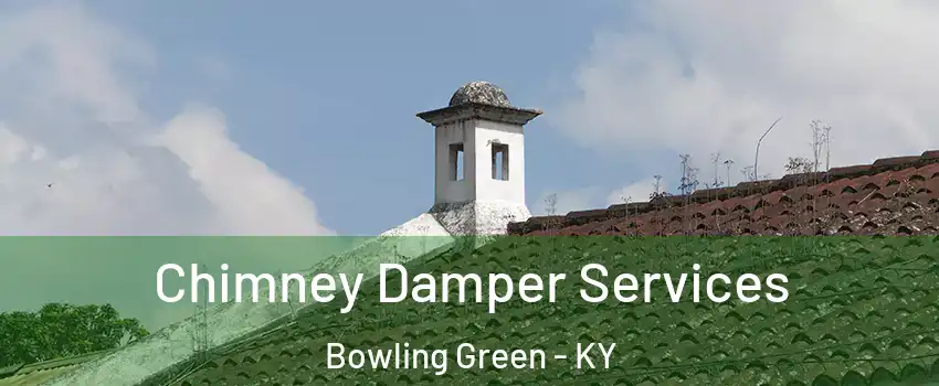  Chimney Damper Services Bowling Green - KY
