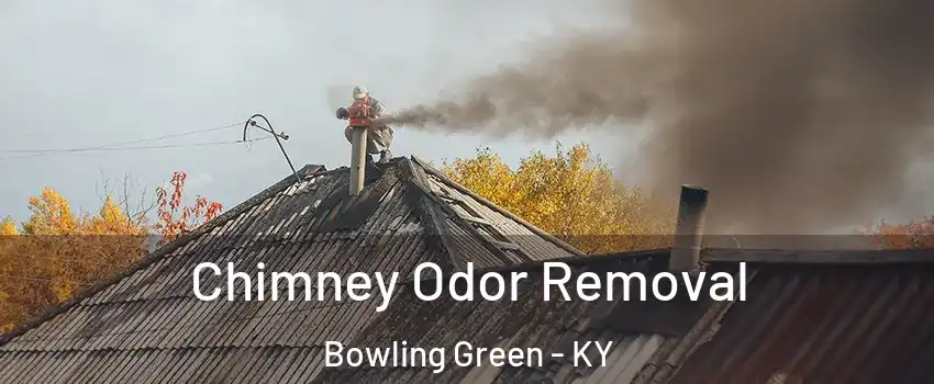  Chimney Odor Removal Bowling Green - KY