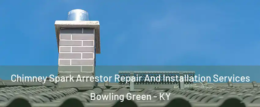  Chimney Spark Arrestor Repair And Installation Services Bowling Green - KY