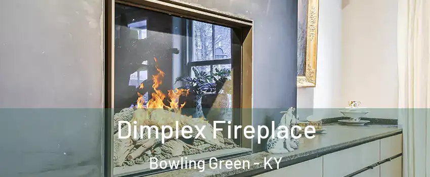  Dimplex Fireplace Bowling Green - KY