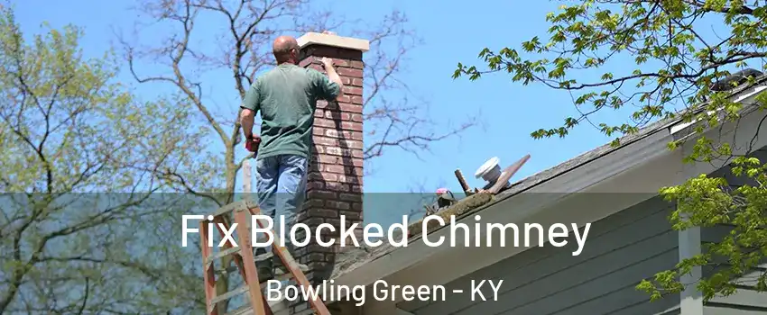  Fix Blocked Chimney Bowling Green - KY