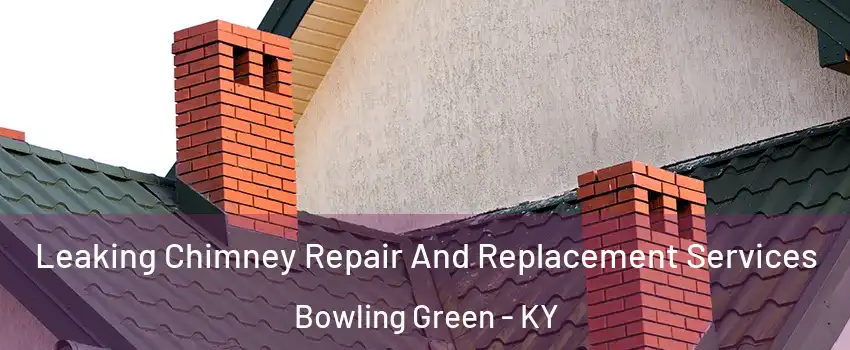  Leaking Chimney Repair And Replacement Services Bowling Green - KY