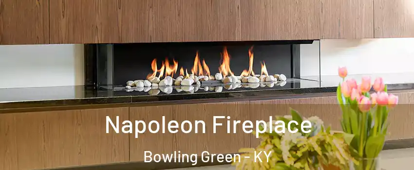  Napoleon Fireplace Bowling Green - KY